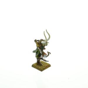 Wood Elf Lord w/ Bow