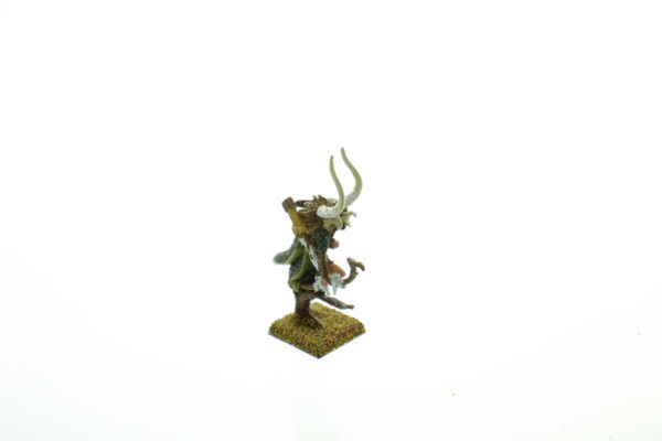 Wood Elf Lord w/ Bow