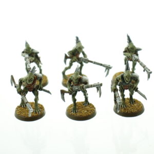 Kroot Carnivore Squad