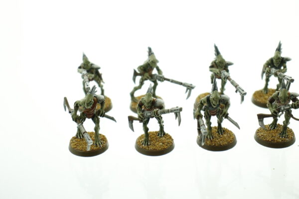 Kroot Carnivore Squad