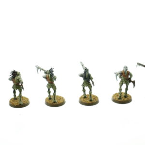 Kroot Carnivore Squad