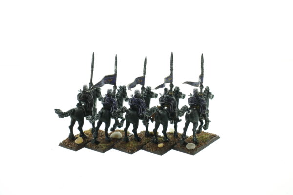 Dark Elf Dark Riders