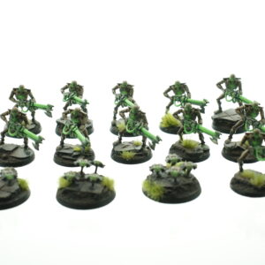 Necron Warriors