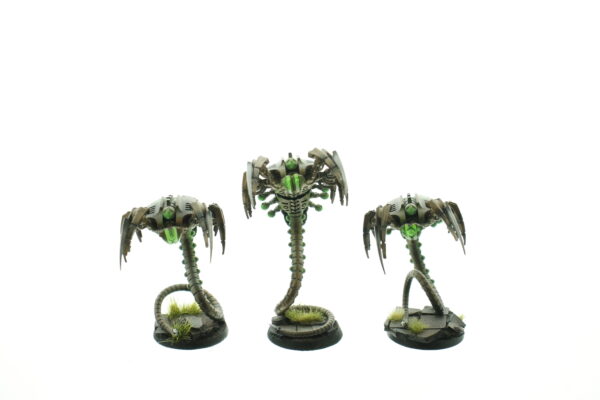 Canoptek Wraiths