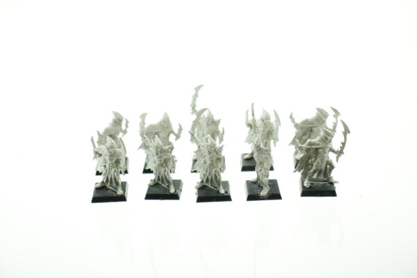 Warhammer Fantasy Dark Elf Corsairs