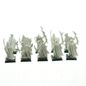 Dark Elf Corsairs