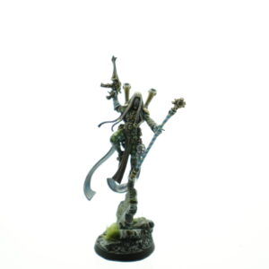 Pro Painted Shadowseer