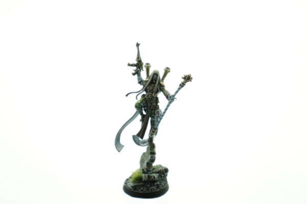 Pro Painted Shadowseer