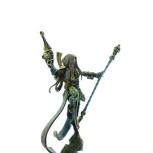 Pro Painted Shadowseer