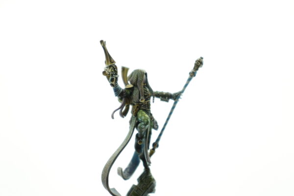 Pro Painted Shadowseer