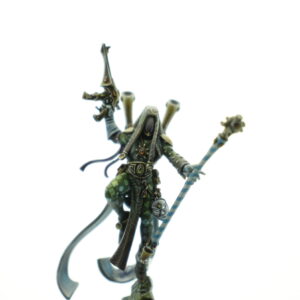 Pro Painted Shadowseer