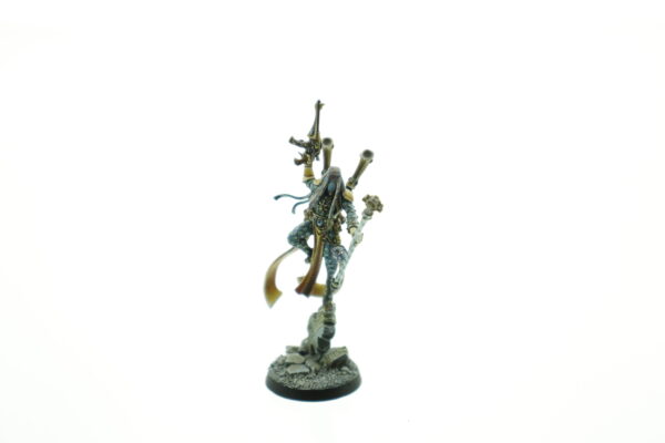 Pro Painted Shadowseer