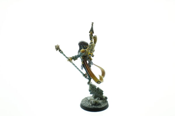 Pro Painted Shadowseer