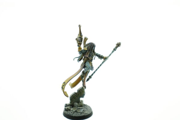 Pro Painted Shadowseer