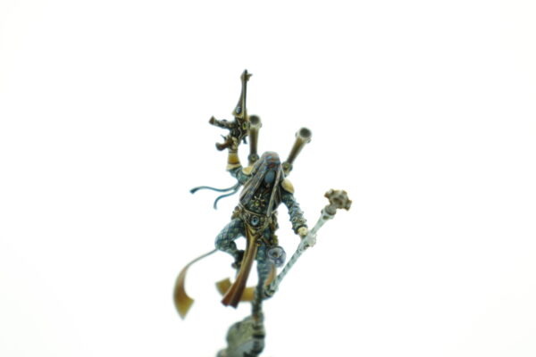 Pro Painted Shadowseer