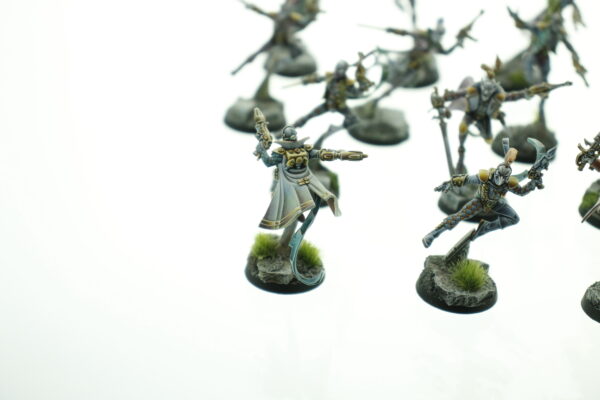 Extreme Pro Painted Harlequins