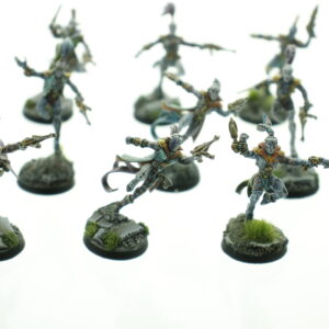 Warhammer 40.000 Extreme Pro Painted Harlequins