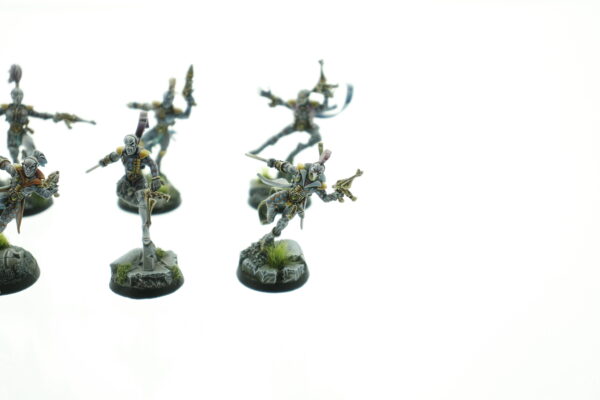 Extreme Pro Painted Harlequins