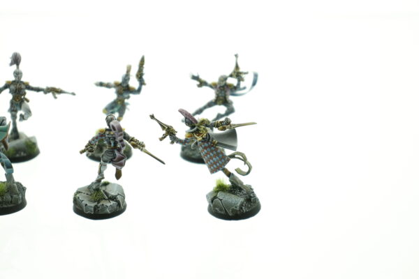 Extreme Pro Painted Harlequins