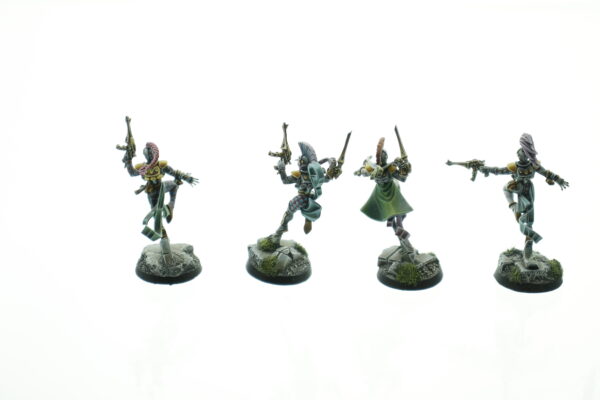 Extreme Pro Painted Harlequins