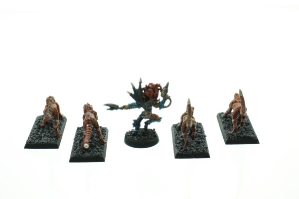 Dark Eldar Beastmaster & Warpbeasts