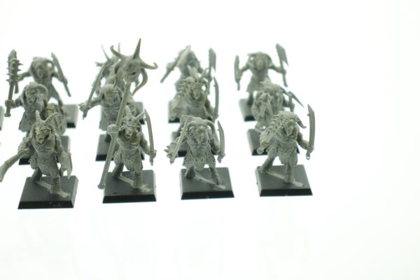 Beastmen Gors