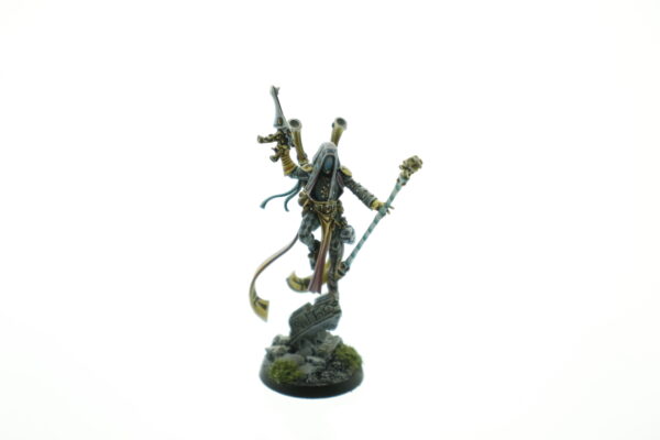 Pro Painted Shadowseer