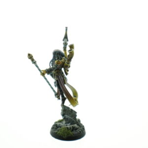 Pro Painted Shadowseer