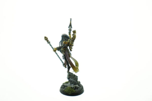 Pro Painted Shadowseer