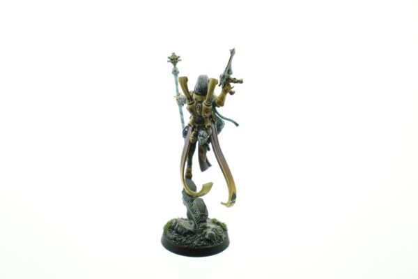 Pro Painted Shadowseer