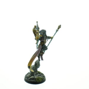 Pro Painted Shadowseer