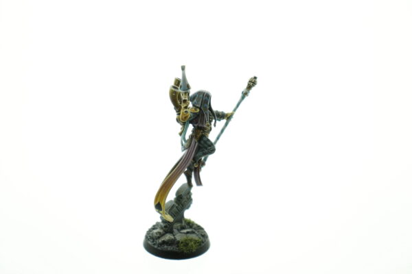 Pro Painted Shadowseer