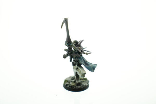 Pro Painted Death Jester