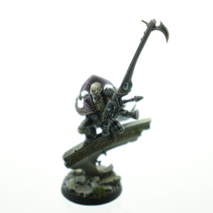 Pro Painted Death Jester