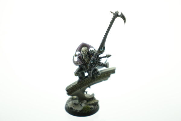 Pro Painted Death Jester