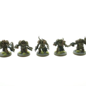 Blightlord Terminators