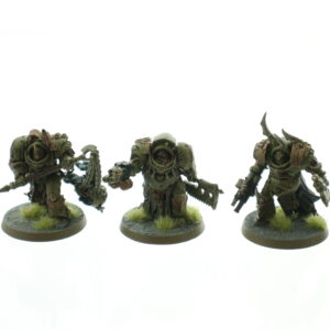 Blightlord Terminators