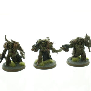 Blightlord Terminators