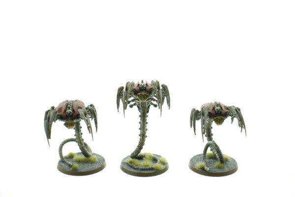 Canoptek Wraiths