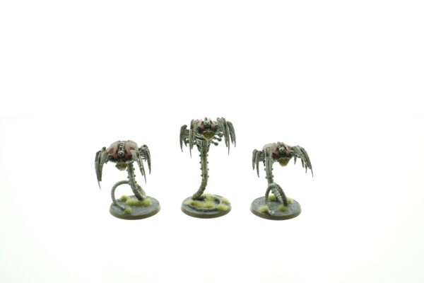 Canoptek Wraiths