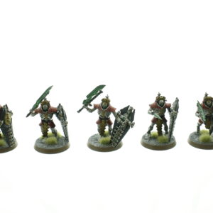 Necrons Lychguard