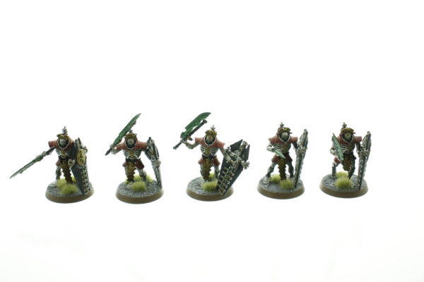 Necrons Lychguard