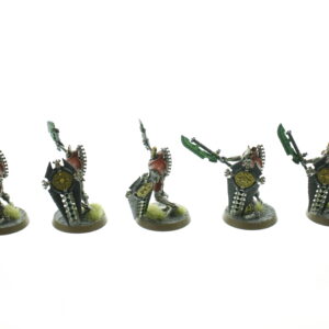 Necrons Lychguard