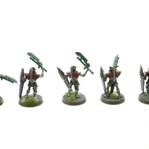 Necrons Lychguard