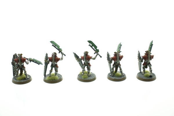 Necrons Lychguard