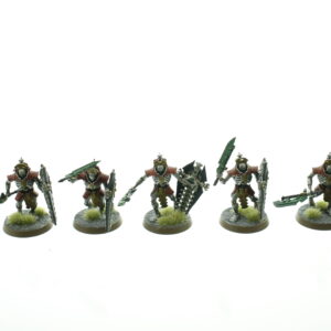 Necrons Lychguard