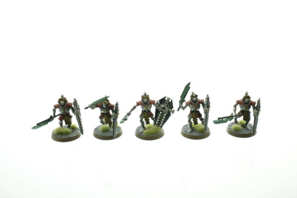 Necrons Lychguard