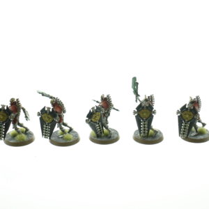 Necrons Lychguard