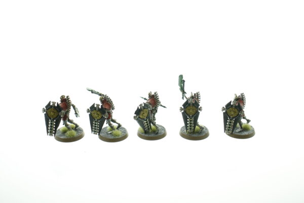 Necrons Lychguard