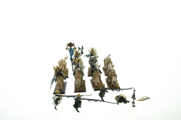 Dark Elf Cold One Knights